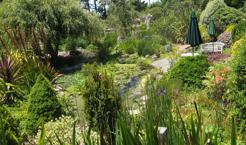 Marin-Bolinas Botanical Gardens, United States